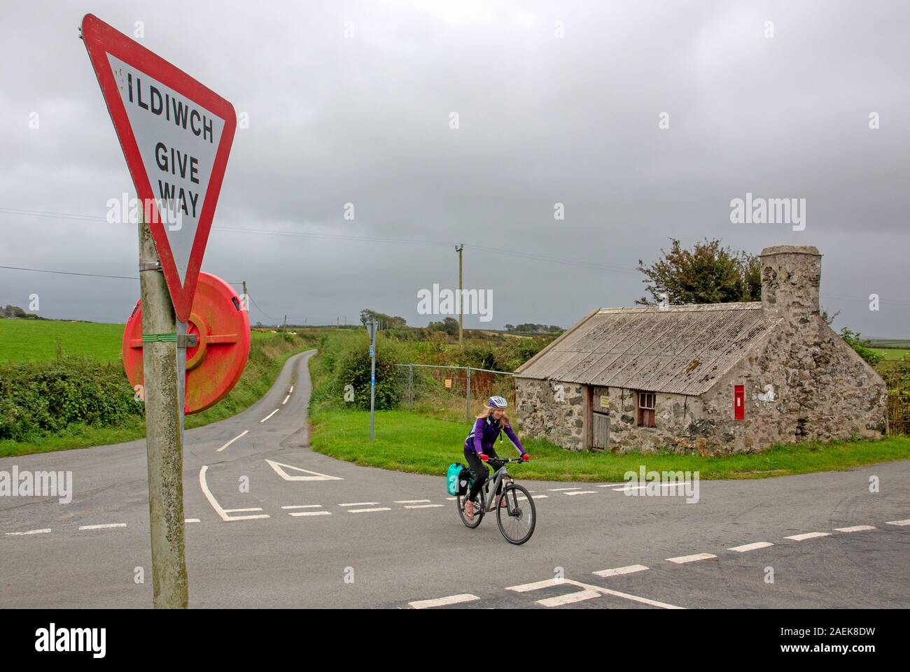 Ciclista sull'isola di Anglesey, parte di Lon Las Cymru percorso in bicicletta Foto Stock