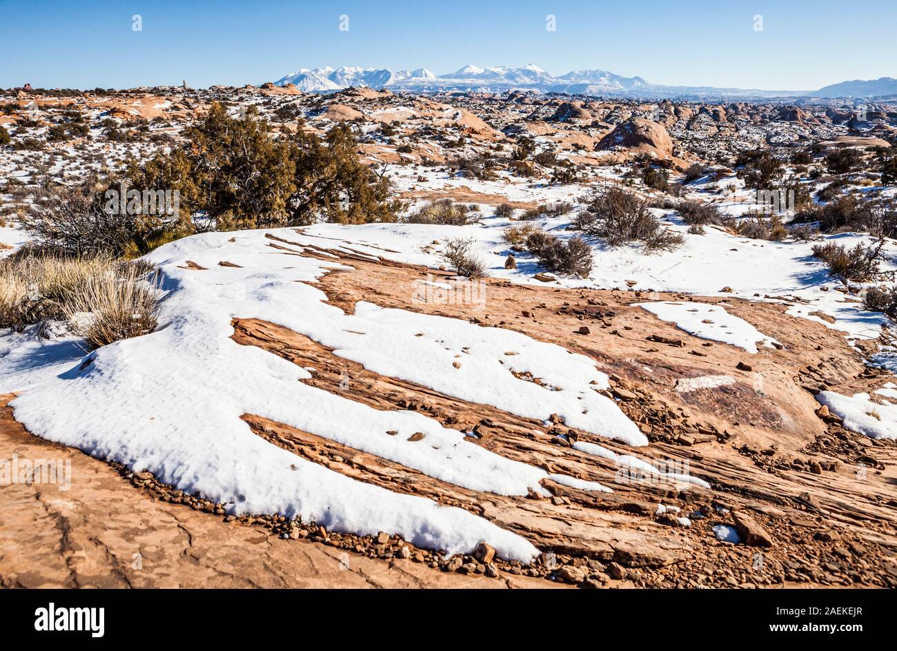 Il petrified dune del Parco Nazionale di Arches e La Sal Mountains, Utah, Stati Uniti d'America. Foto Stock