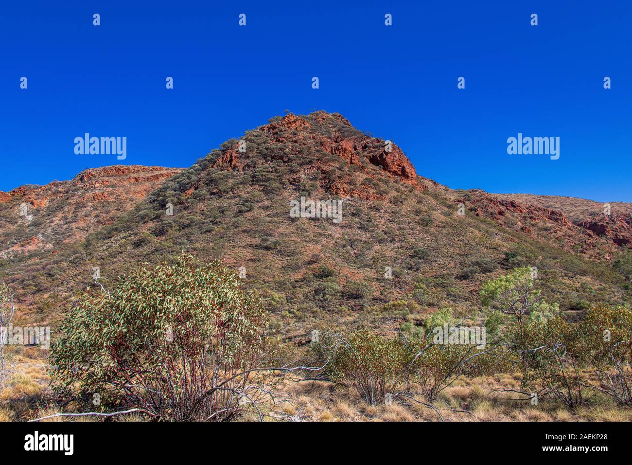 Redbank Gorge è una lacuna nella Catena Montuosa di West MacDonnell nel Territorio del Nord, l'Australia Foto Stock