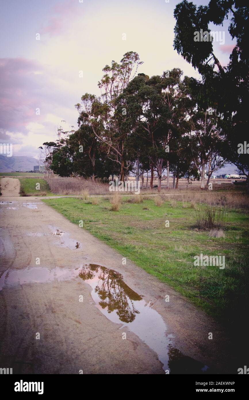 Sentiero sterrato su una collina ondulata, che scompare oltre l'orizzonte preso al crepuscolo con cielo rosa e blu e nuvole soffici. Alberi riflessi in puddle. Foto Stock