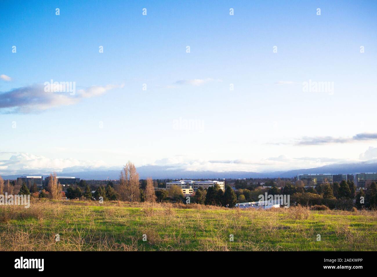 Vista di Sunnyvale, Silicon Valley dal San Francisco Bay Trail che mostra blocchi di uffici con montagne all'orizzonte Foto Stock