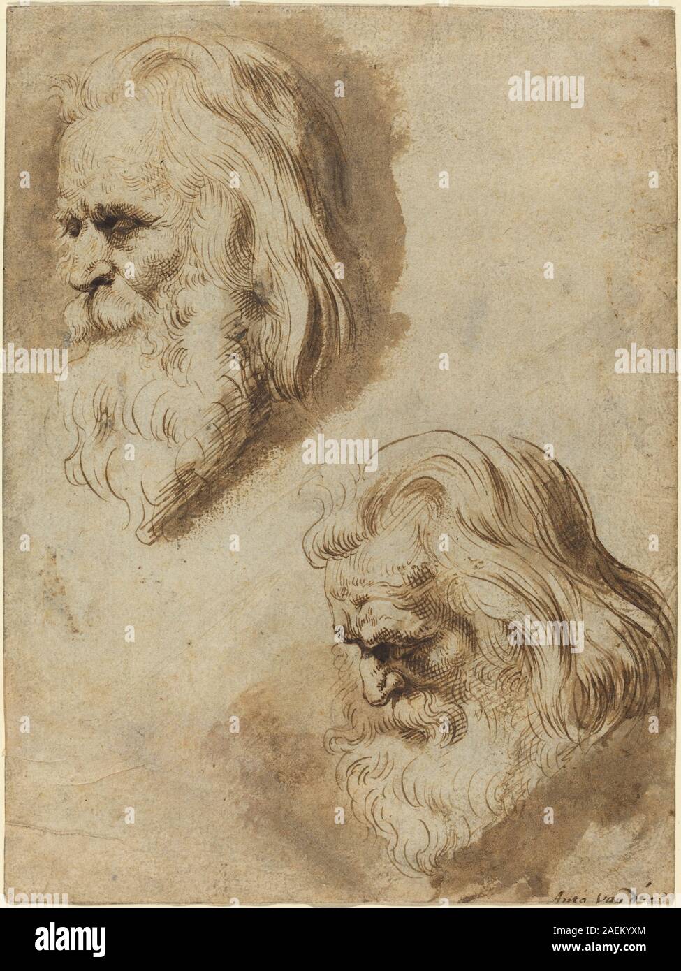 Incisione di Paulus Pontius su Peter Paul Rubens, raffigurante due studi sulla testa di un uomo anziano, mostrando espressioni facciali dettagliate, rughe e caratteristiche del personaggio. Foto Stock