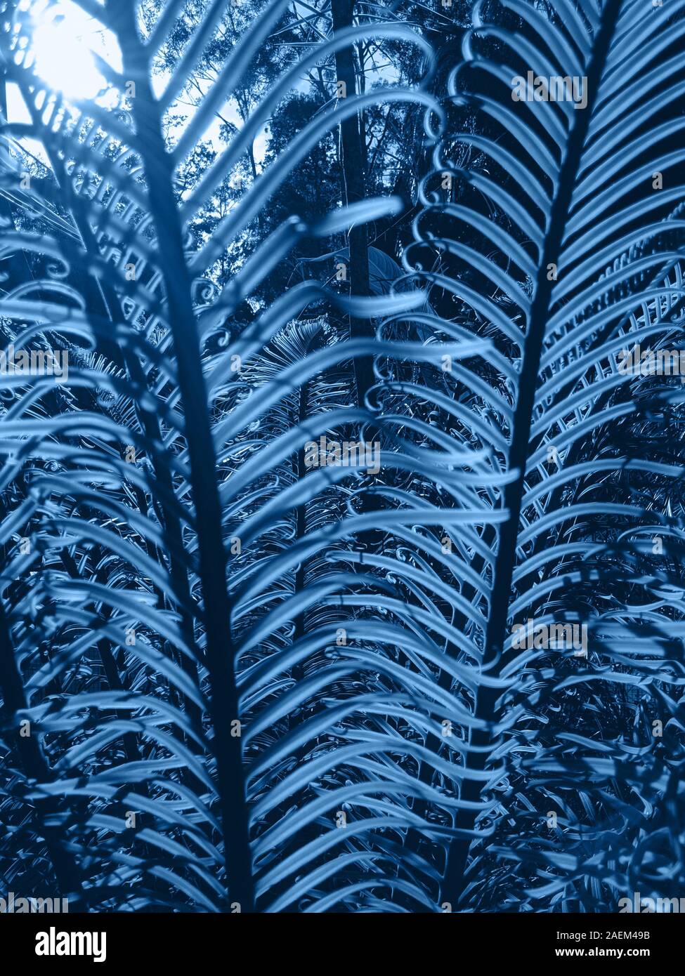 Creative e moody colore blu fogliame naturale foglia floral background texture. Foto Stock