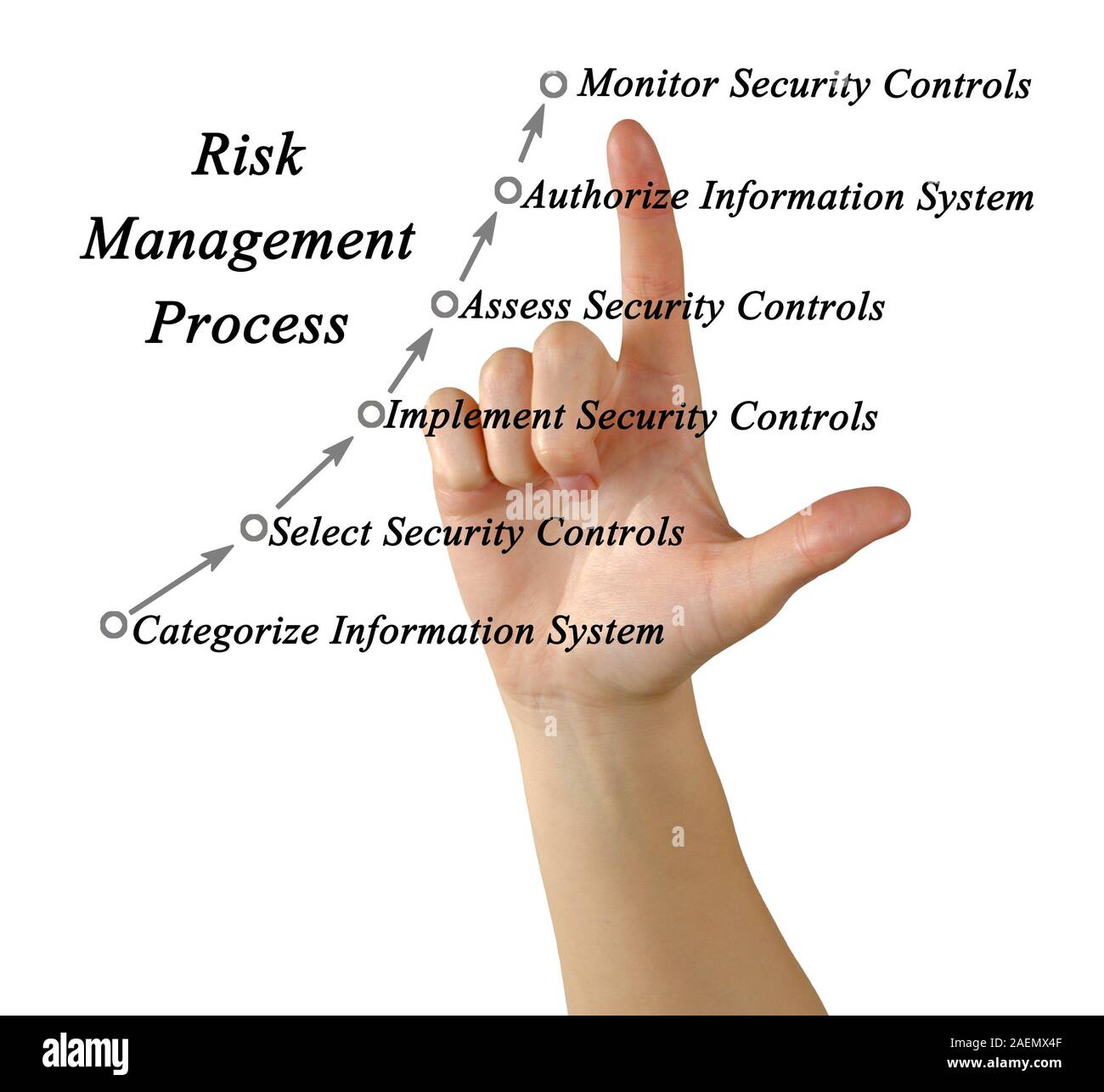 Diagramma del processo di gestione del rischio Foto Stock