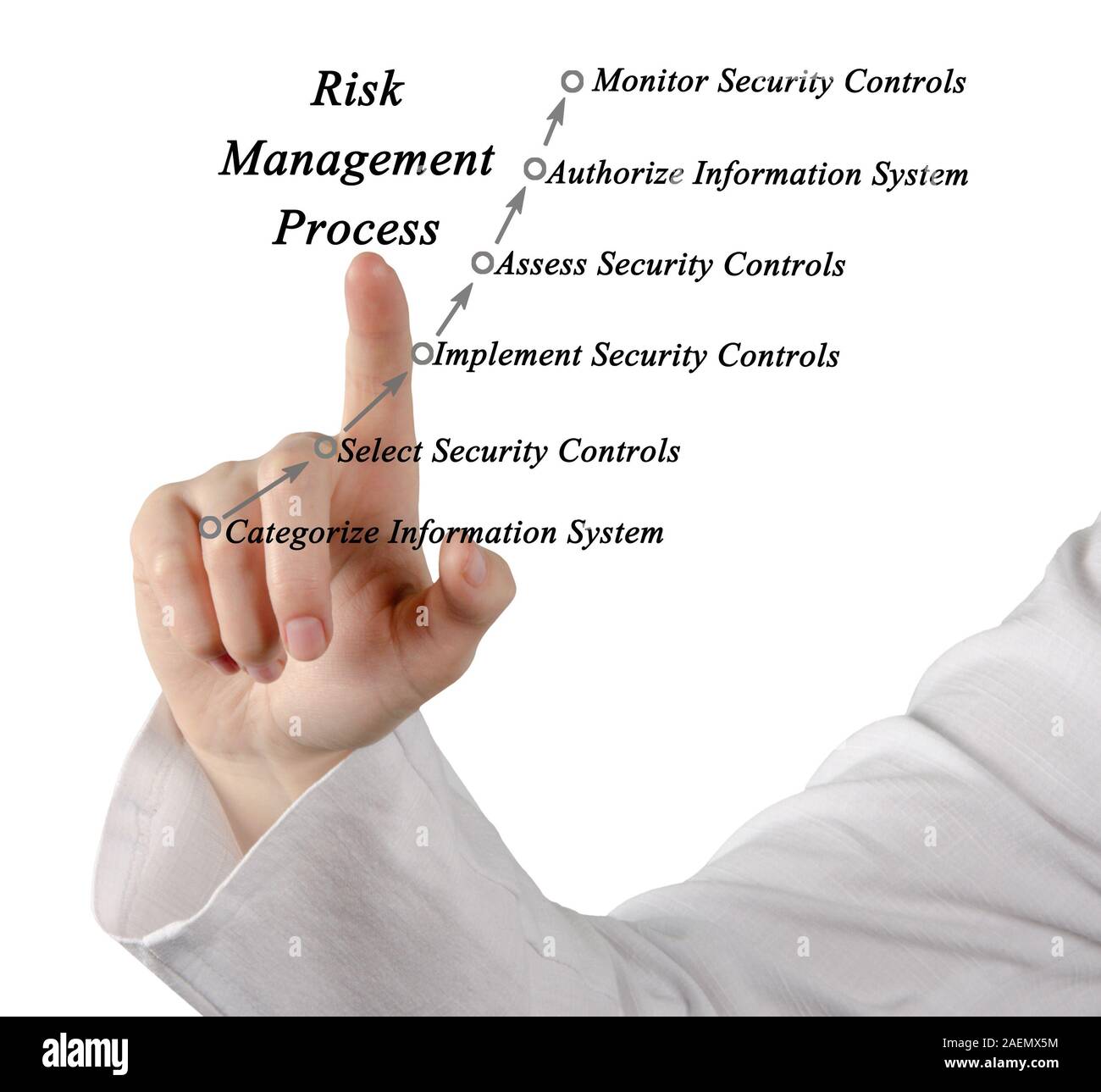 Diagramma del processo di gestione del rischio Foto Stock