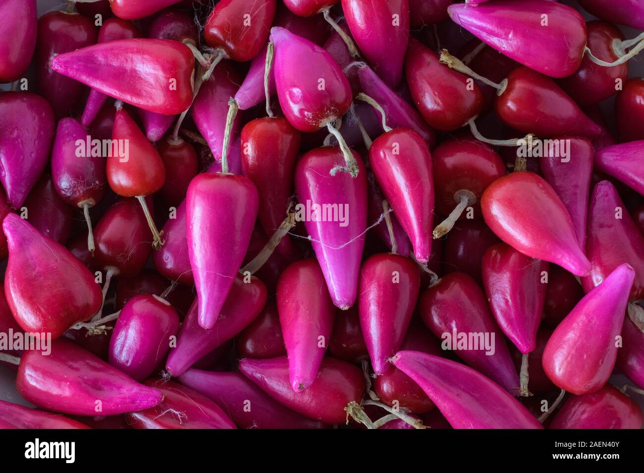 Gruppo frutta tropicale Pitiguey nel mercato Foto Stock