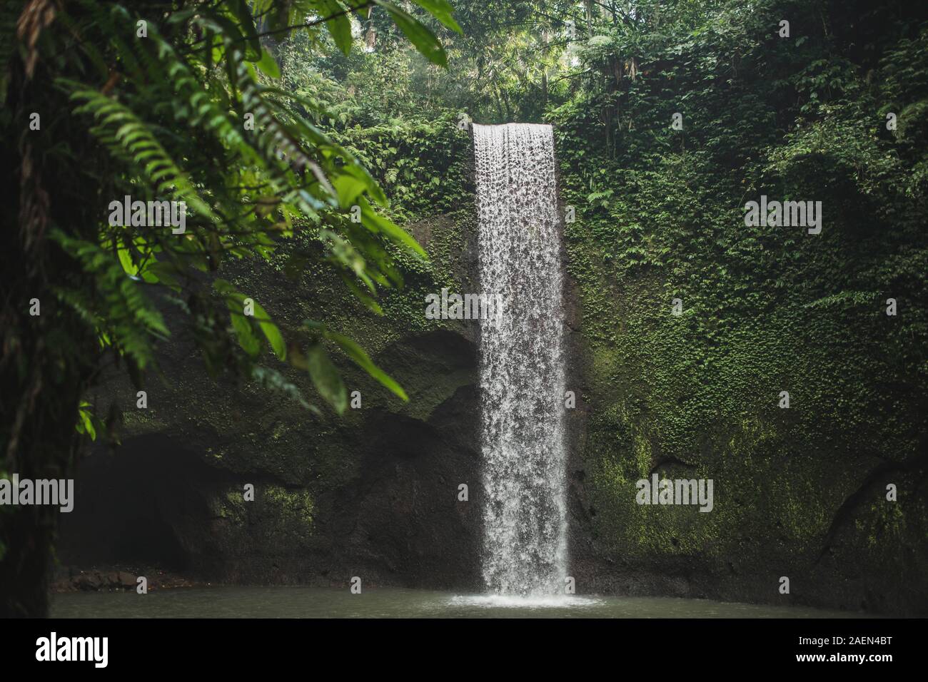 Piccola cascata segreta Tibumana in Bali, Indonesia. Famoso punto di riferimento turistico nel verde lussureggiante giungla. Nessuno attorno, natura dello sfondo. Foto Stock