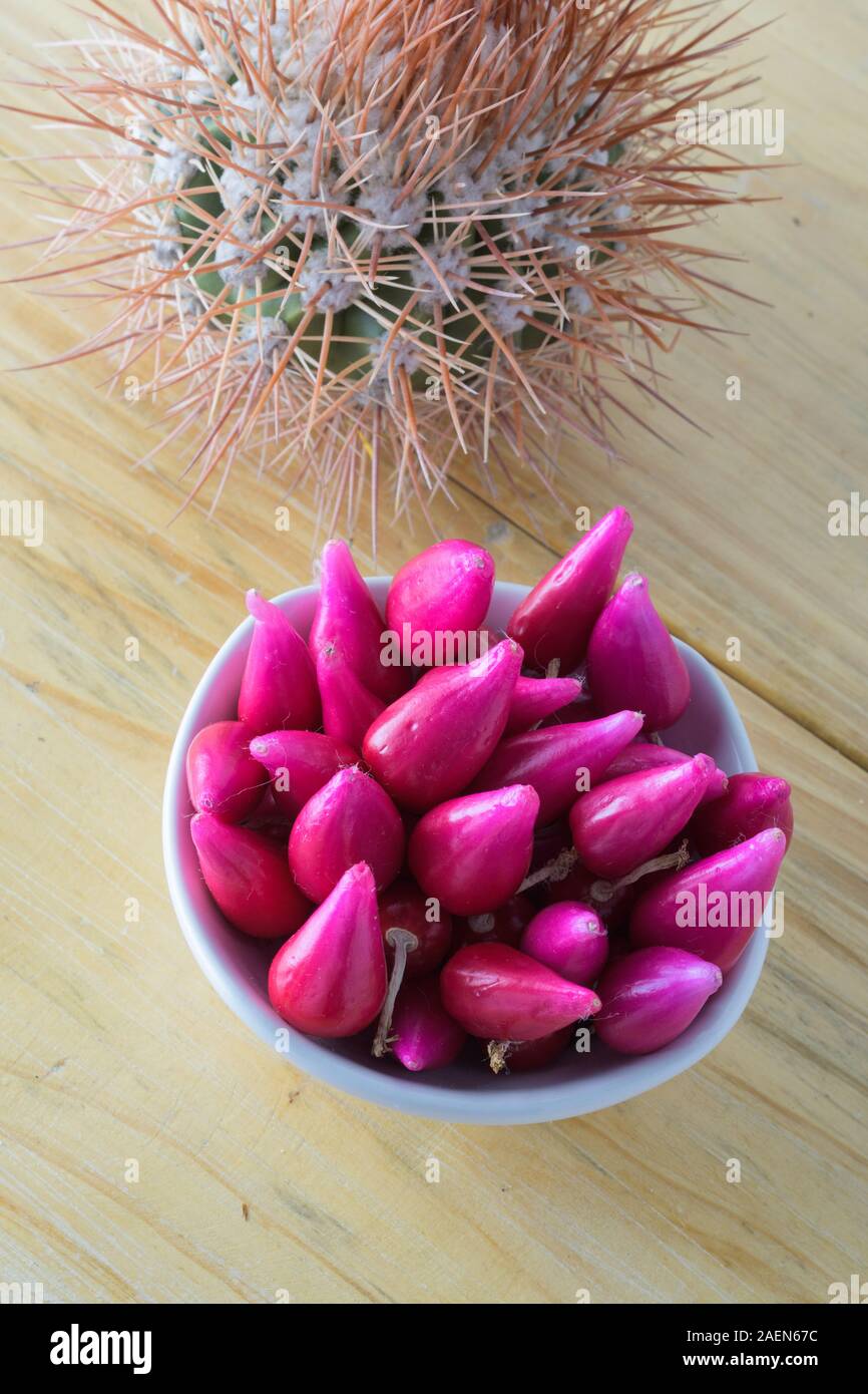 Gruppo di frutta di Pitiguey in ciotola bianca su tavola di legno con Melocactus Foto Stock