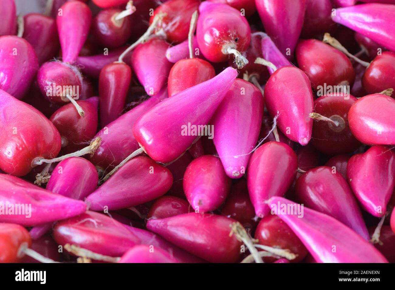 Mercato dell'assortimento di frutta rosa di Pitiguey. Foto Stock