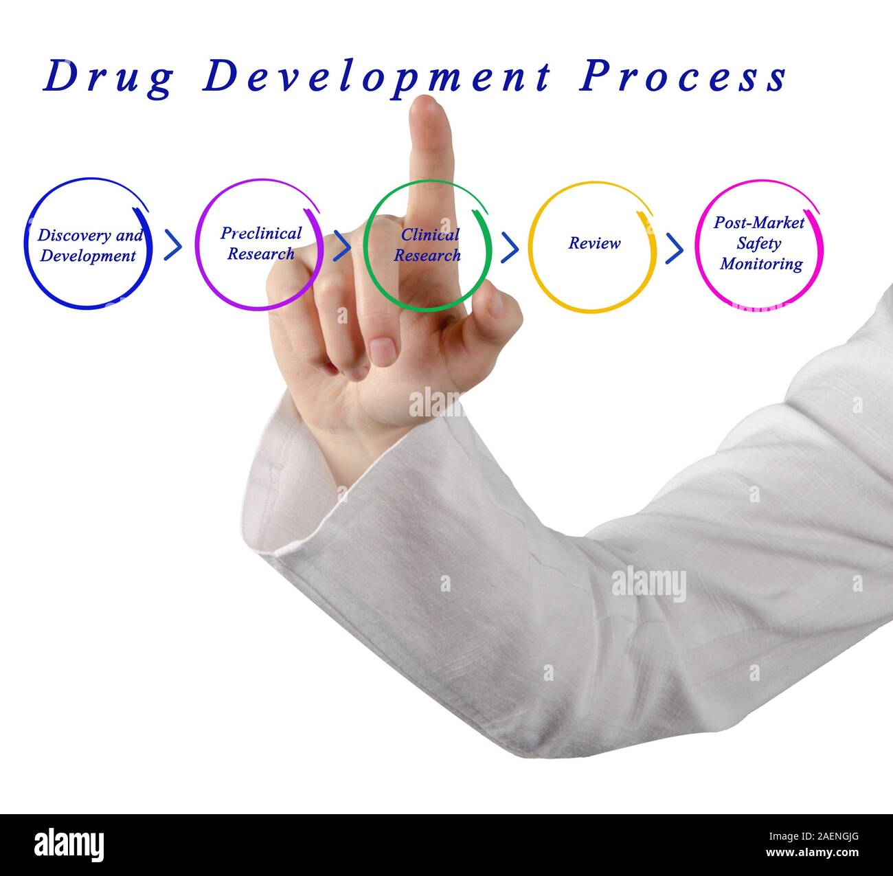 Schema del farmaco processo di sviluppo Foto Stock