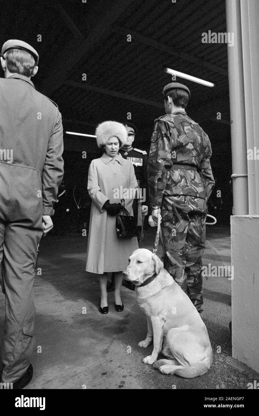 Gamberetti, un Labrador 'sniffer' cane, guarda lontano dalla Regina Elisabetta II e il suo gestore durante una visita reale al corpo di Royalty di polizia militare in Roussillon caserma, Chichester. Foto Stock
