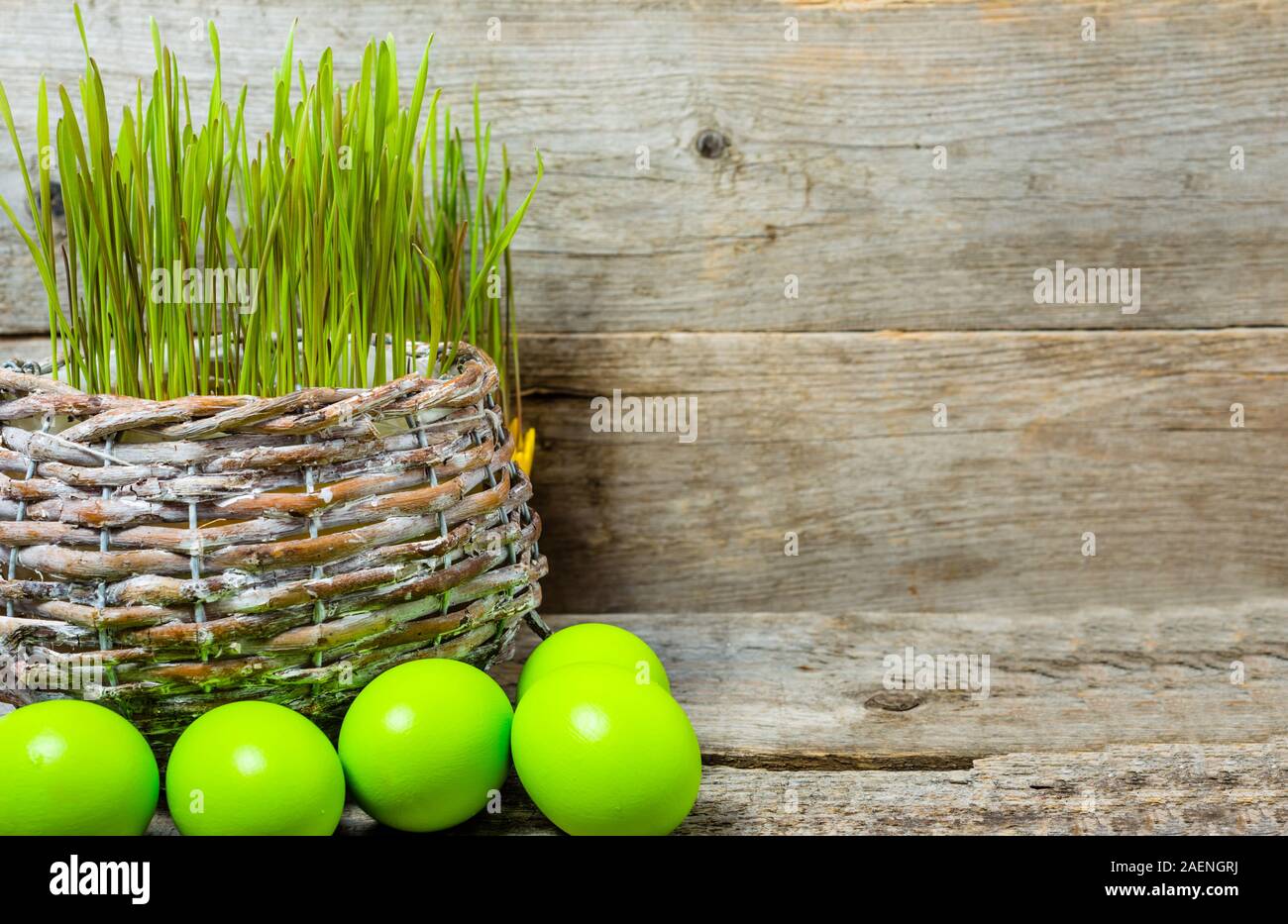 Sfondo con uova di Pasqua e di erba fresca verde Grano, simboli pasquali Foto Stock
