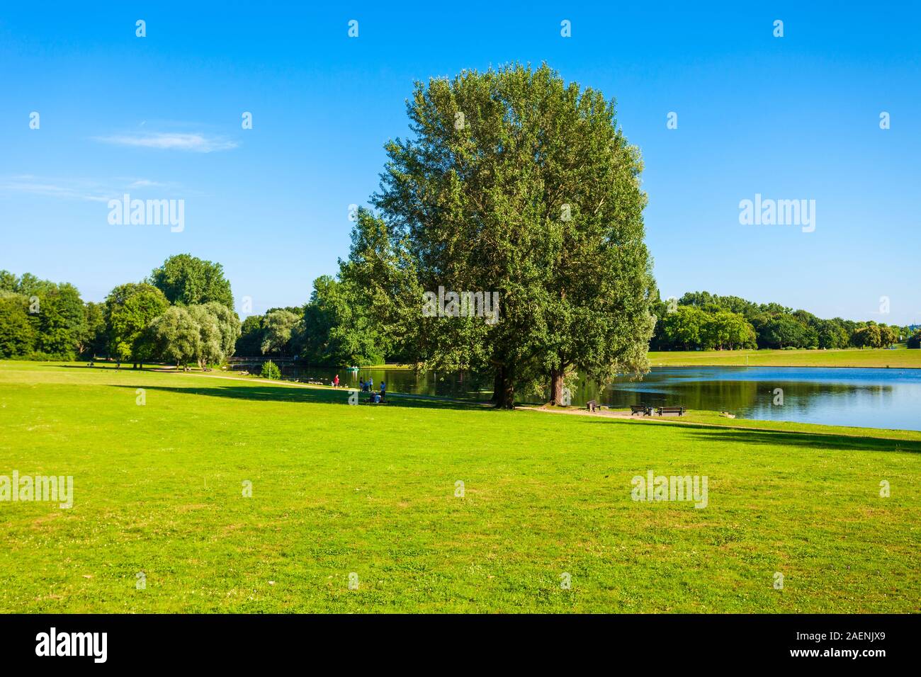 Divertimenti Rheinaue o parco Rheinaue Freizeitpark è un parco pubblico nella città di Bonn, Germania Foto Stock