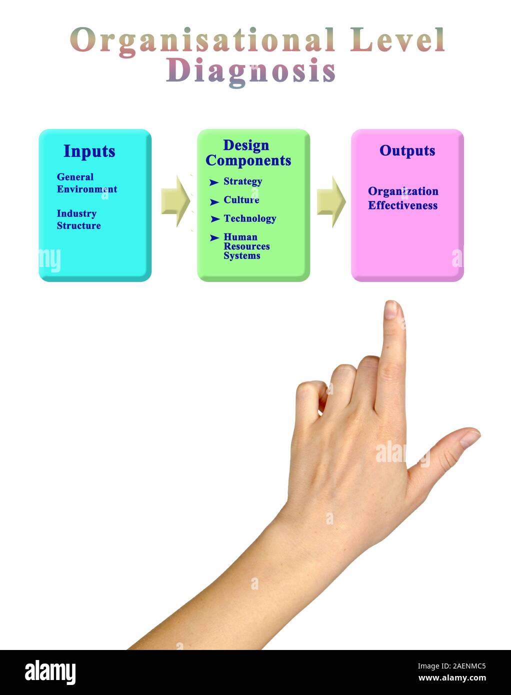 Componenti di livello organizzativo la diagnosi Foto Stock