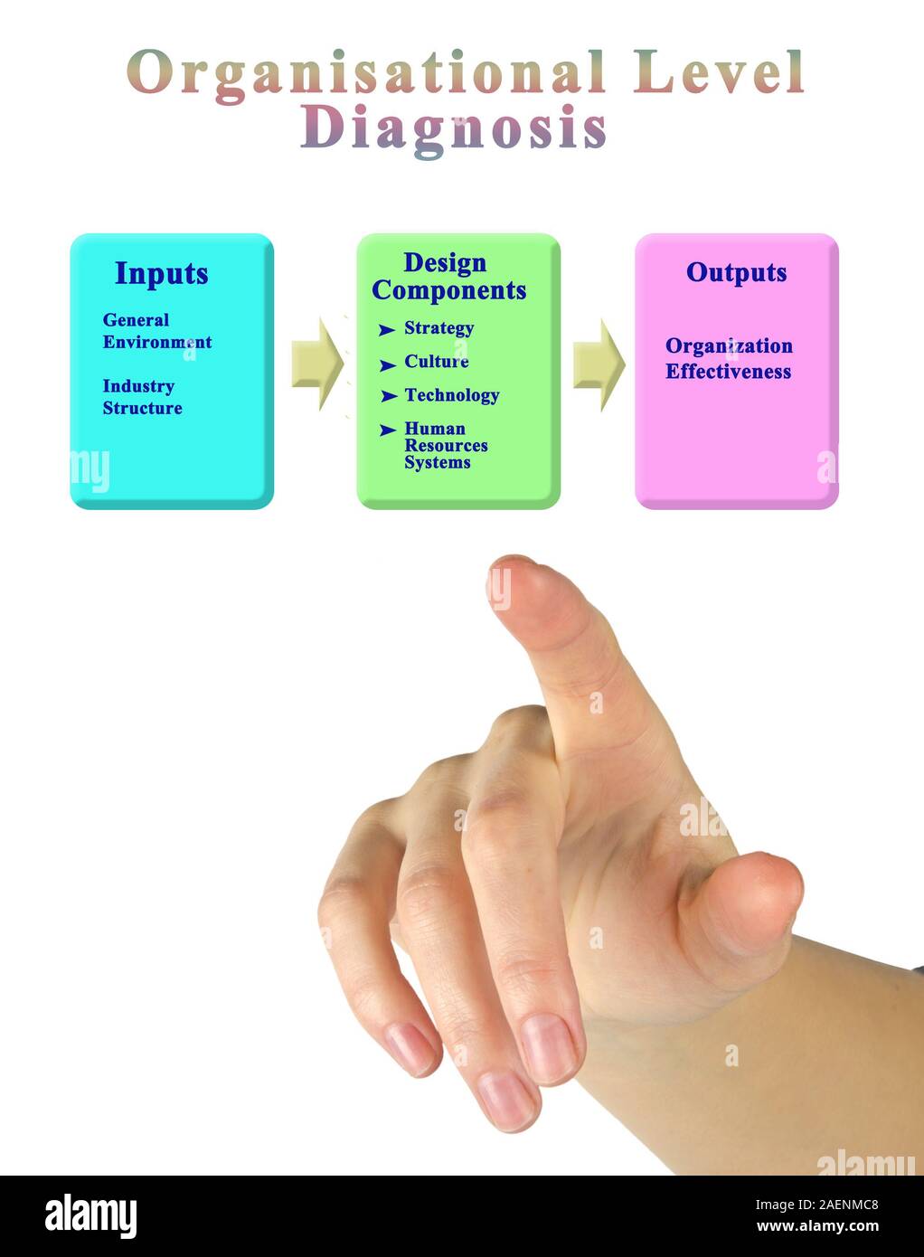 Componenti di livello organizzativo la diagnosi Foto Stock