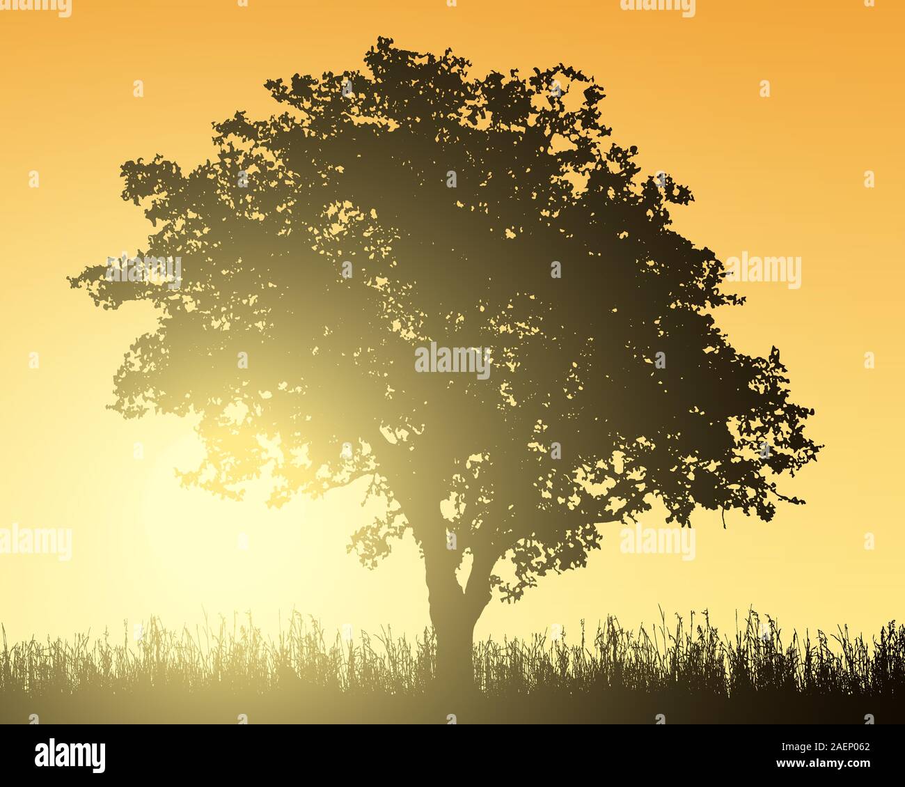 Illustrazione realistica del paesaggio con albero a foglie decidue, rovere o faggio e di erba sotto orange cielo mattutino con Rising Sun - vettore Illustrazione Vettoriale