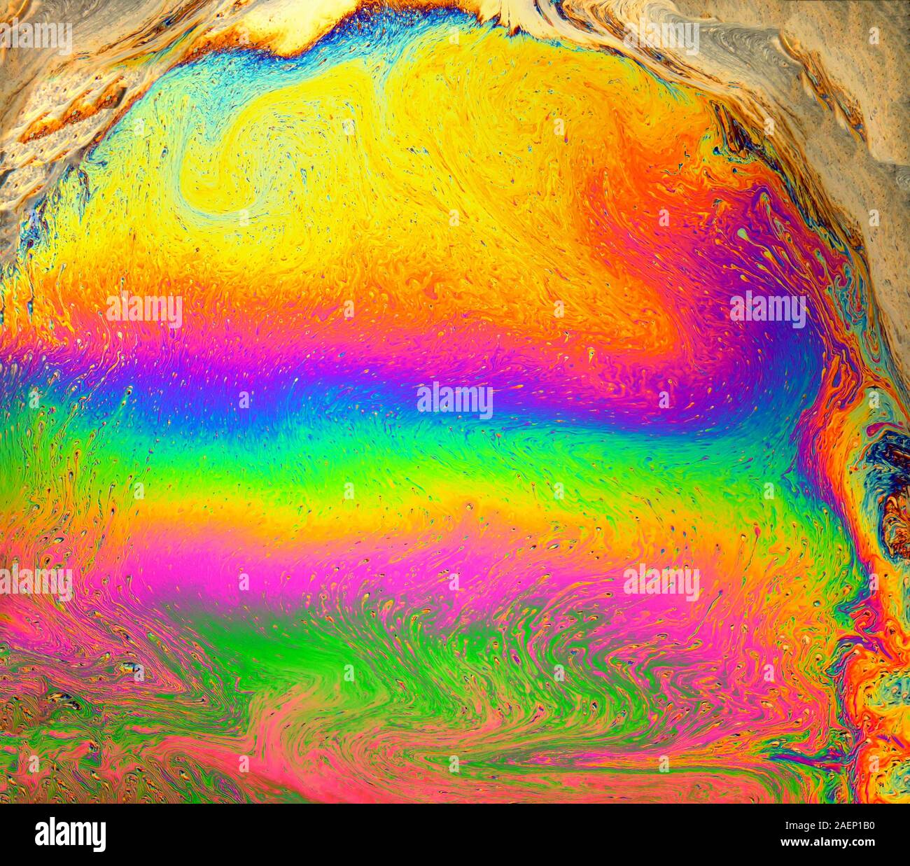 Sfondo psichedelico. Universo di fiori. Concept Art Design. Sfondo multicolore. Foto Stock
