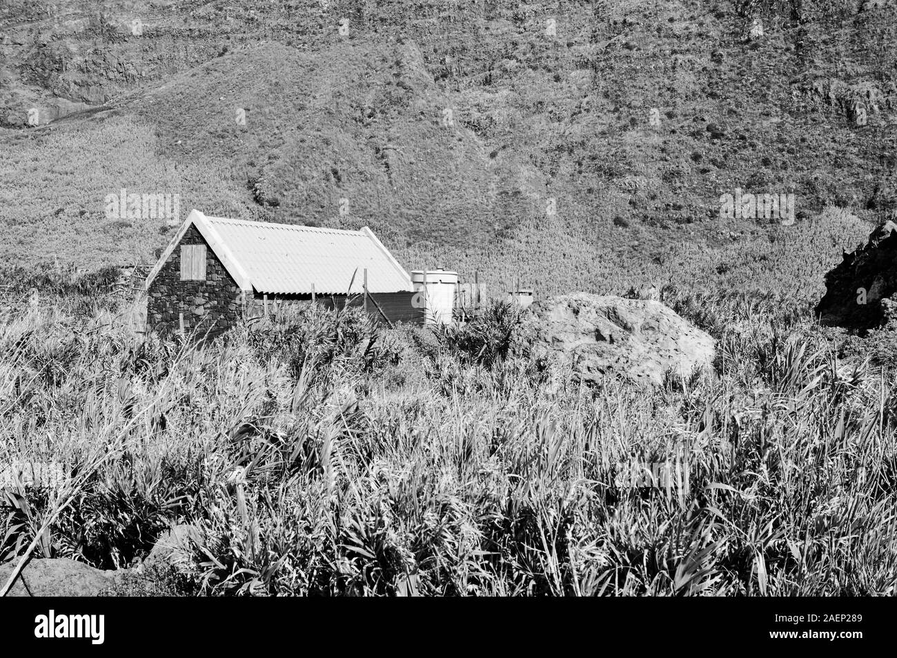 Isolato in pietra nera casa di campagna nei pressi di un cestino della spazzatura (Madeira, Portogallo, Europa) Foto Stock