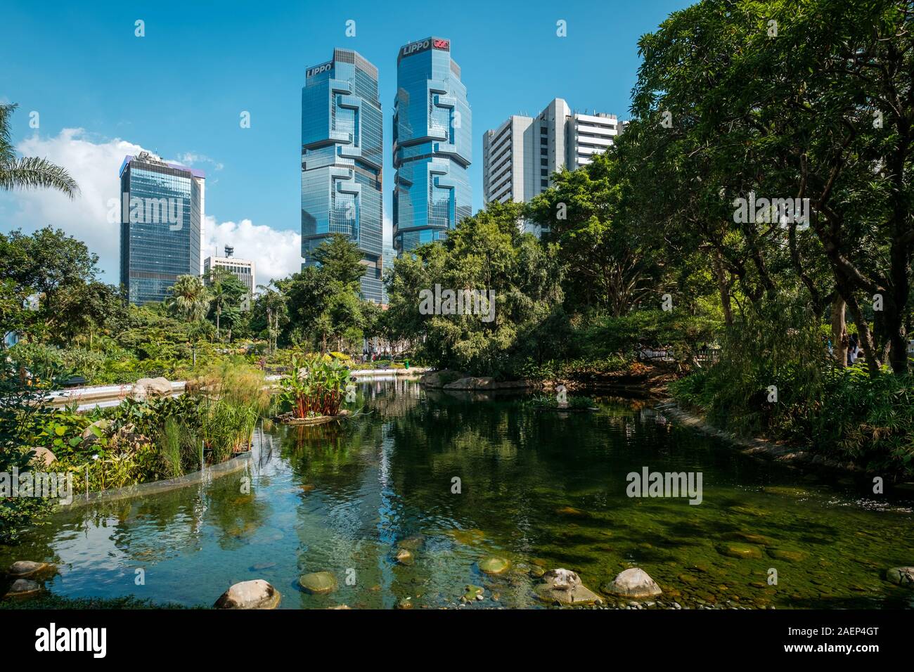 HongKong - Novembre 18, 2019: La Hong Kong parco con il lago e grattacieli edifici in background in HongKong quartiere degli affari Foto Stock