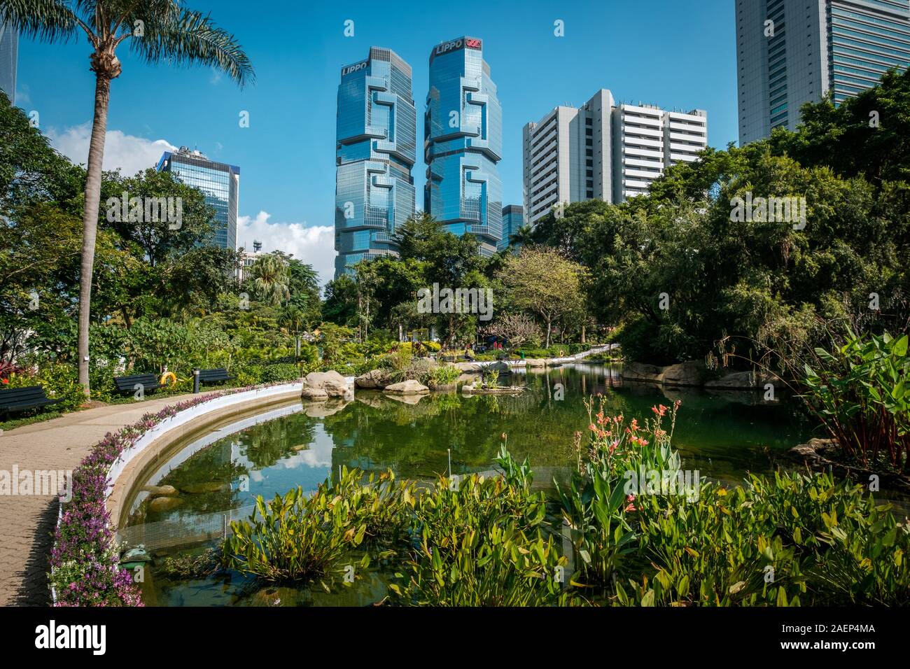 HongKong - Novembre 18, 2019: La Hong Kong parco con il lago e grattacieli edifici in background in HongKong quartiere degli affari Foto Stock