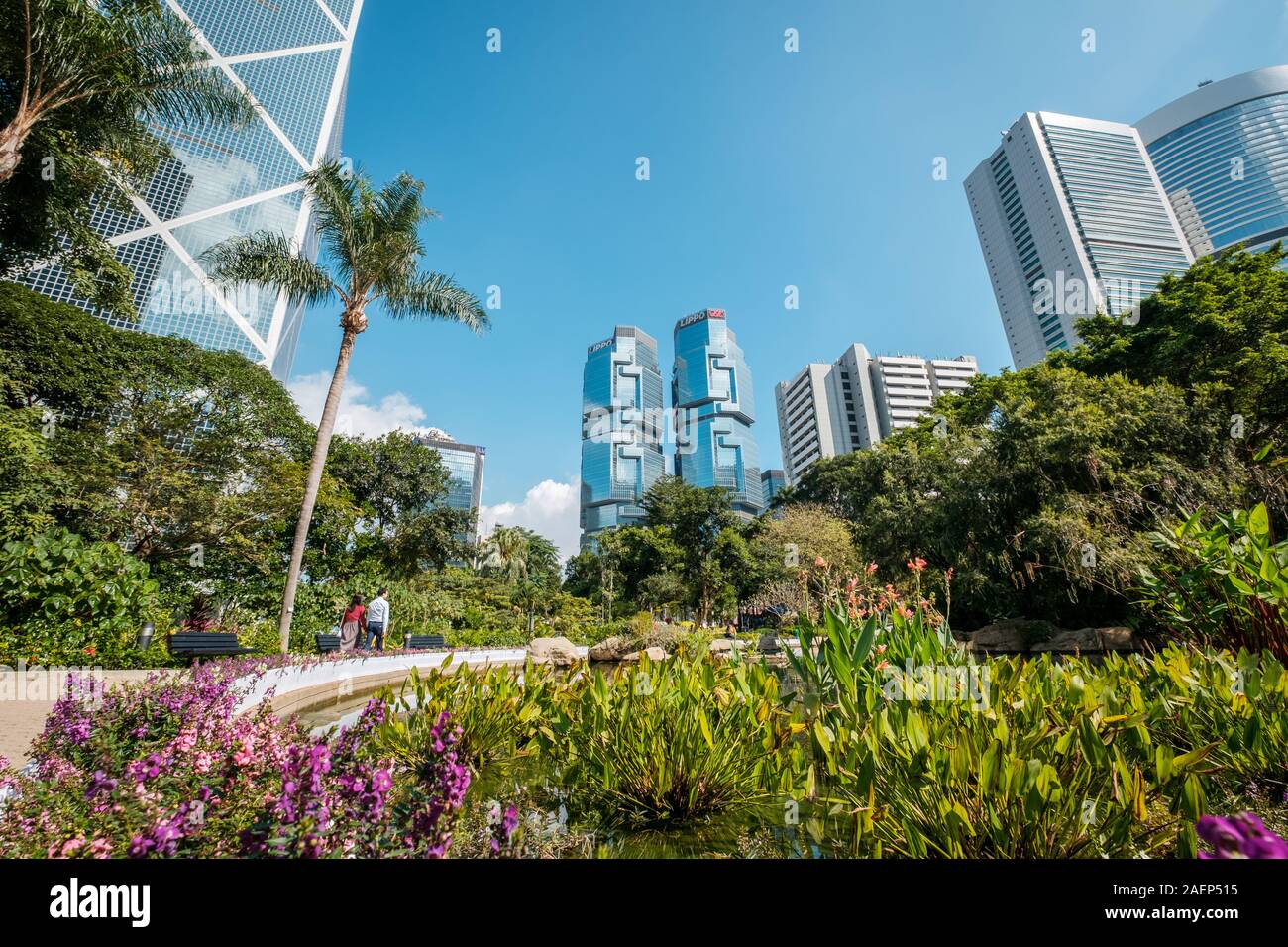 HongKong - Novembre 18, 2019: La Hong Kong parco con il lago e grattacieli edifici in background in HongKong quartiere degli affari Foto Stock