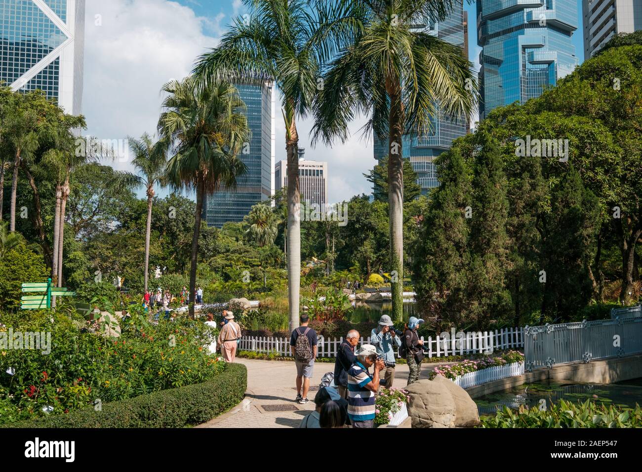 HongKong - Novembre 18, 2019: La Hong Kong parco con il lago e grattacieli edifici in background in HongKong quartiere degli affari Foto Stock