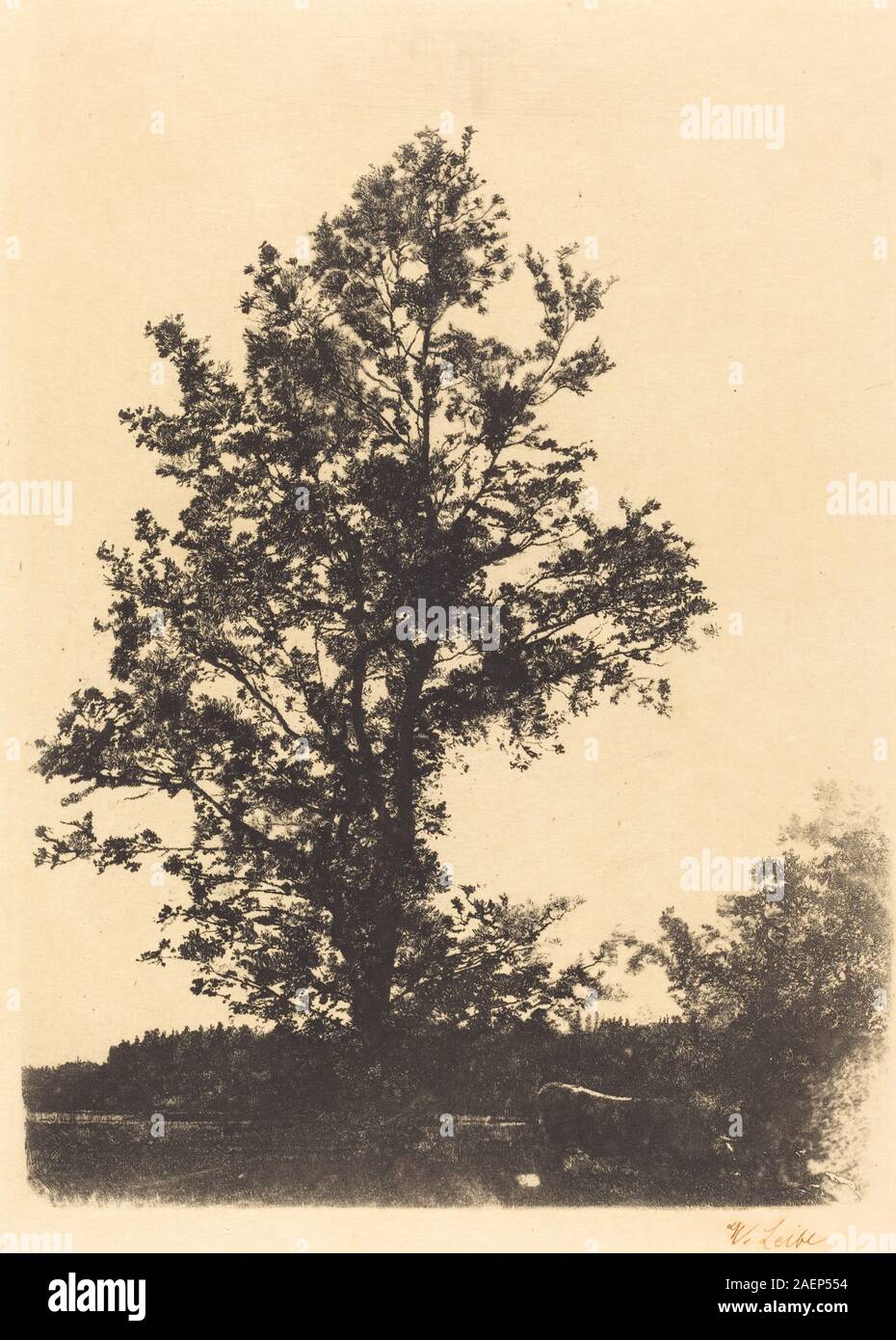 1874–1875 dipinto di Wilhelm Leibl intitolato "il grande albero", che mostra un grande albero nel paesaggio, tronco, rami, fogliame, ambiente circostante, e dettagli naturalistici. Foto Stock