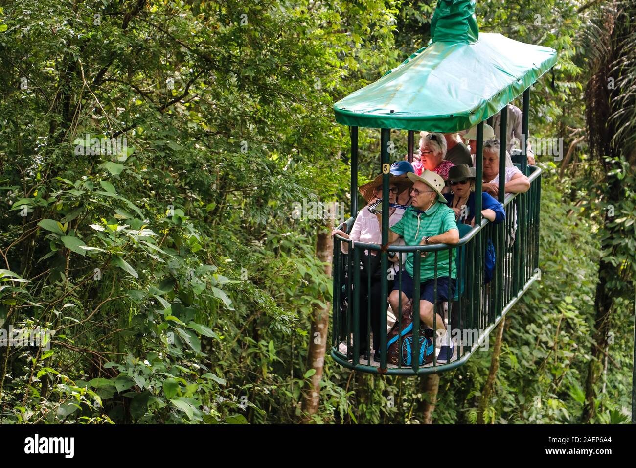 Vista ravvicinata di un gruppo di turisti che si godono una linea tramviaria ride in mezzo alla foresta pluviale Foto Stock