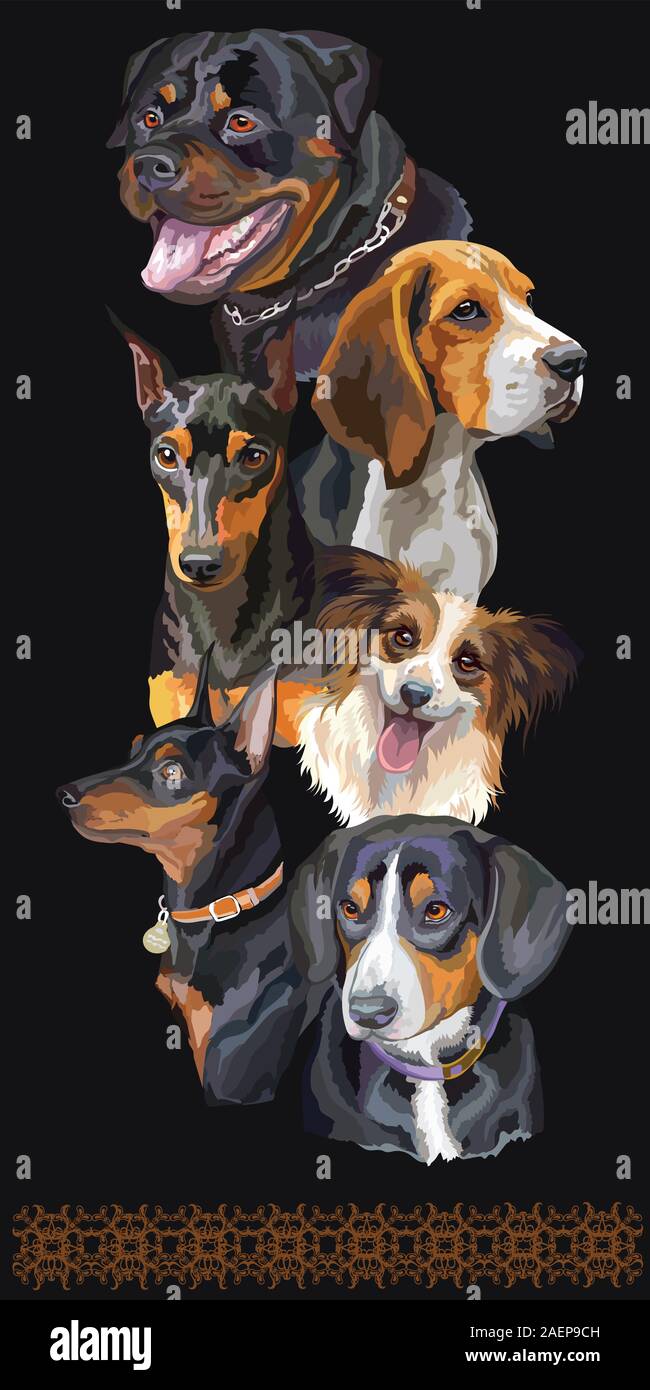 Cartolina verticale con cani di differenti razze. Vettore colorati illustrazione realistica del cane ritratti:Rottweiler Beagle,Pinscher miniatura isolare Illustrazione Vettoriale