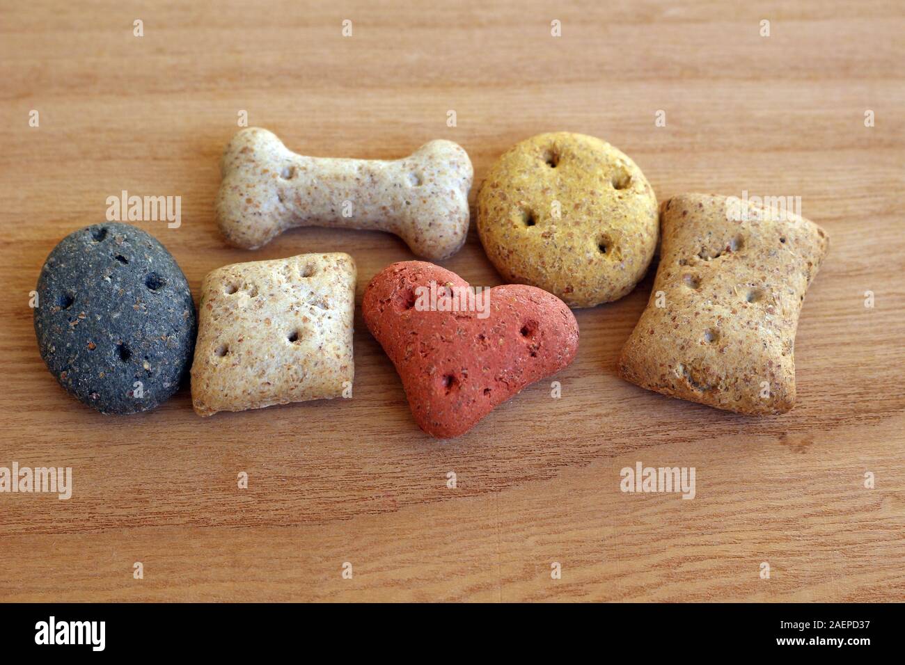 Cane diversi biscotti close up Foto Stock