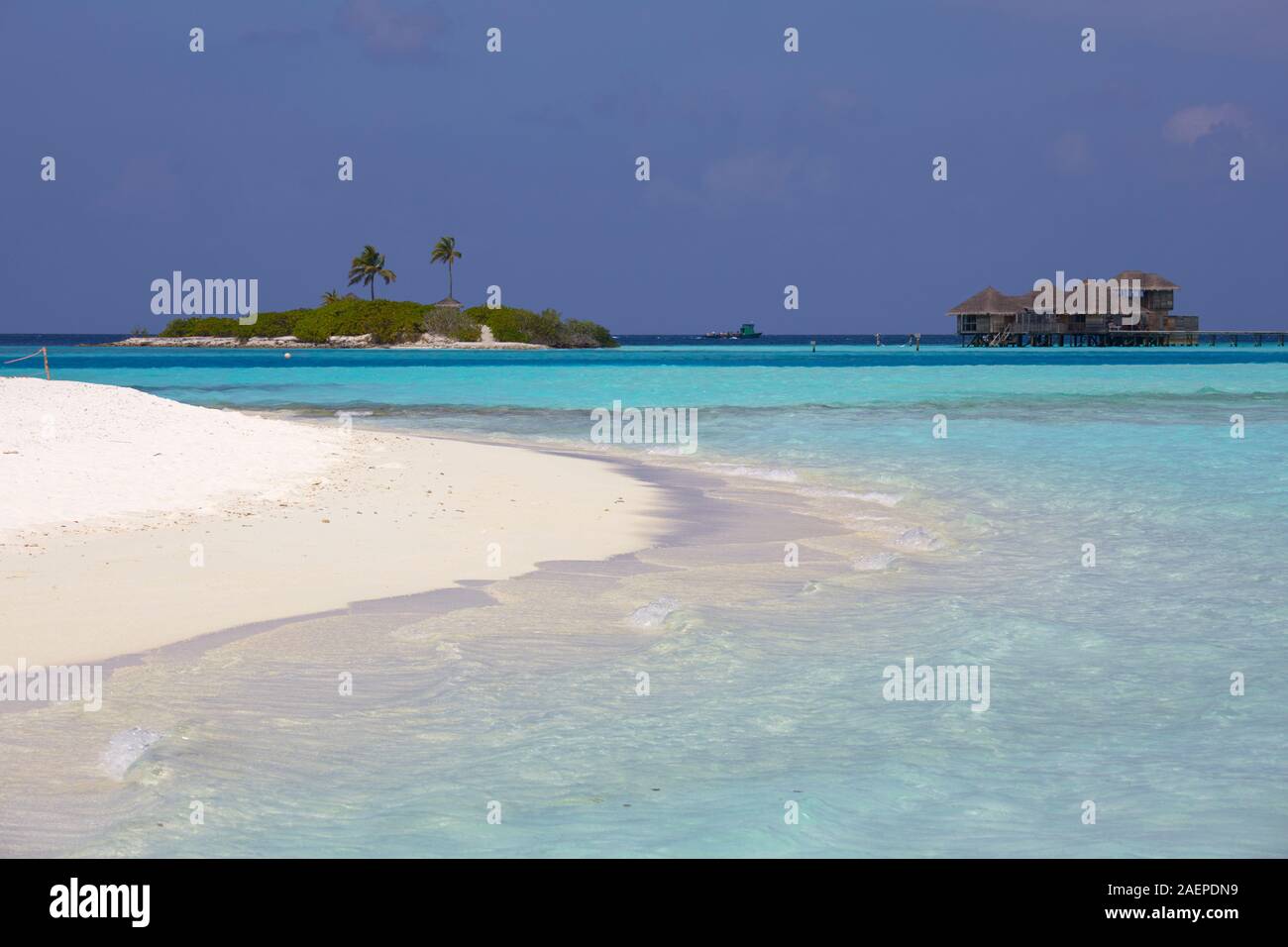 La spiaggia di sabbia bianca di Paradise Island (Lankanfinolhu), Maldive Foto Stock