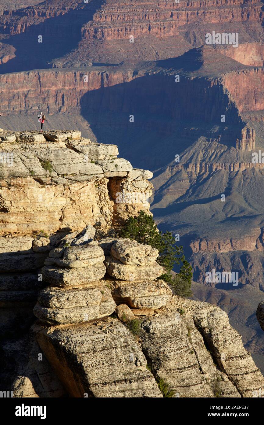 Bordo Sud del Grand Canyon, Arizona, Stati Uniti Foto Stock