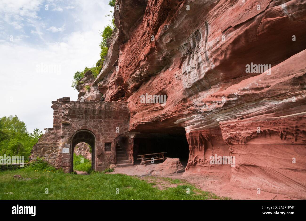 Rovine del Castello di Falkenstein con un suo lato gate, del XIII secolo, Philippsbourg, nord Vosgi Parco naturale regionale, della Mosella (57), Francia Foto Stock