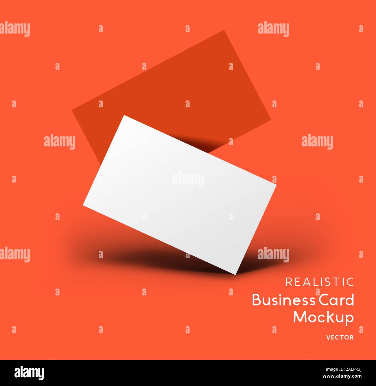 Parte anteriore e posteriore del business cards. Brand identity design mockup con ombre. Illustrazione Vettoriale. Illustrazione Vettoriale