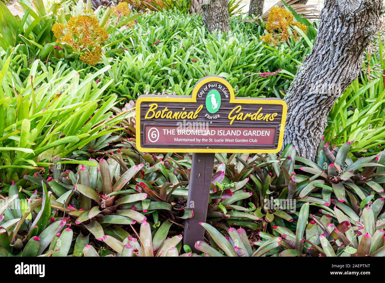 Port St. Lucie Florida, Port St. Lucie Botanical Gardens, bromeliad Island Garden, cartello, FL190920038 Foto Stock