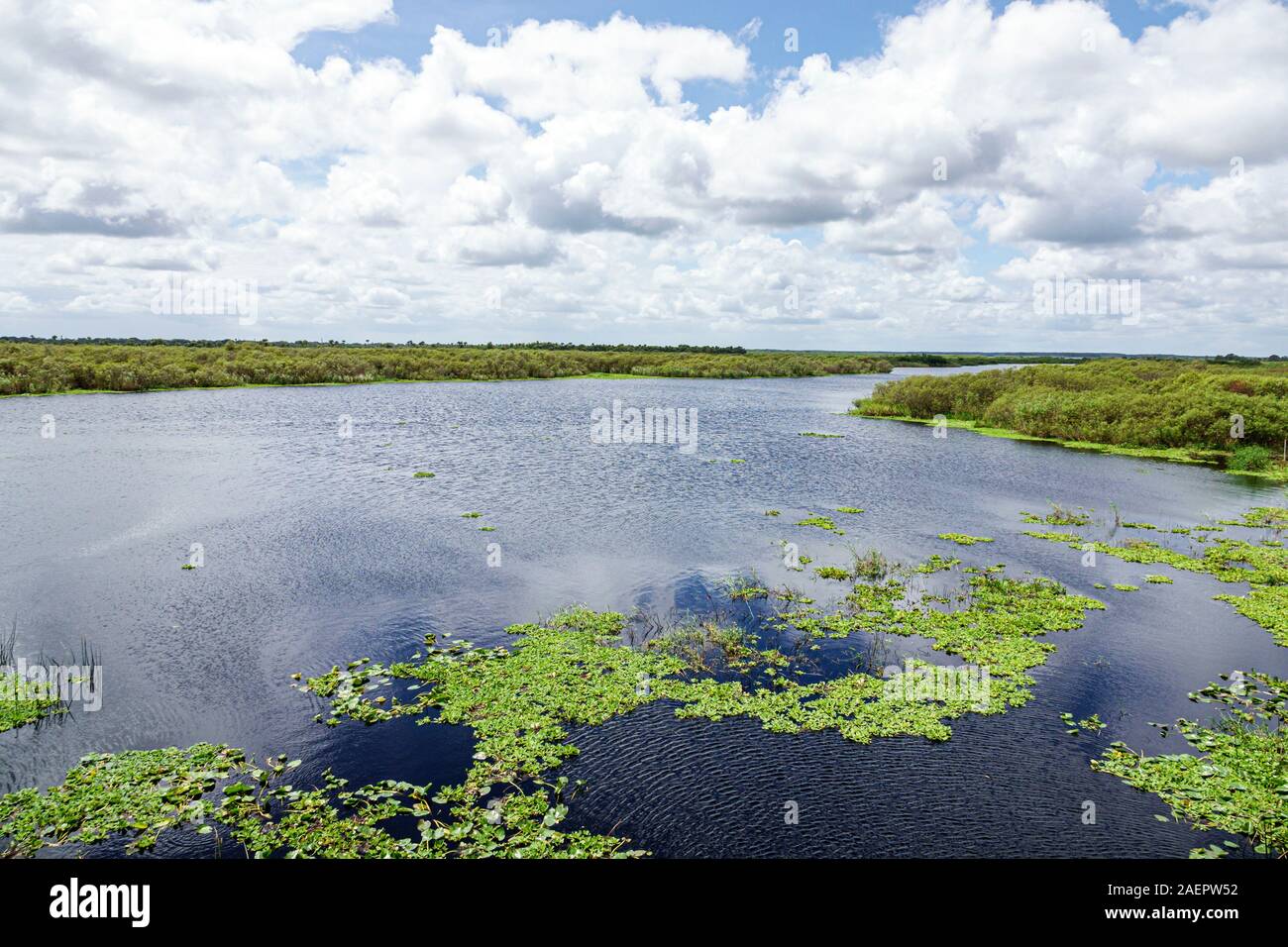 Melbourne, Florida, St Fiume Saint Johns, gite in idroscivolante Camp Holly, vista panoramica del fiume, piante acquatiche, FL190920078 Foto Stock