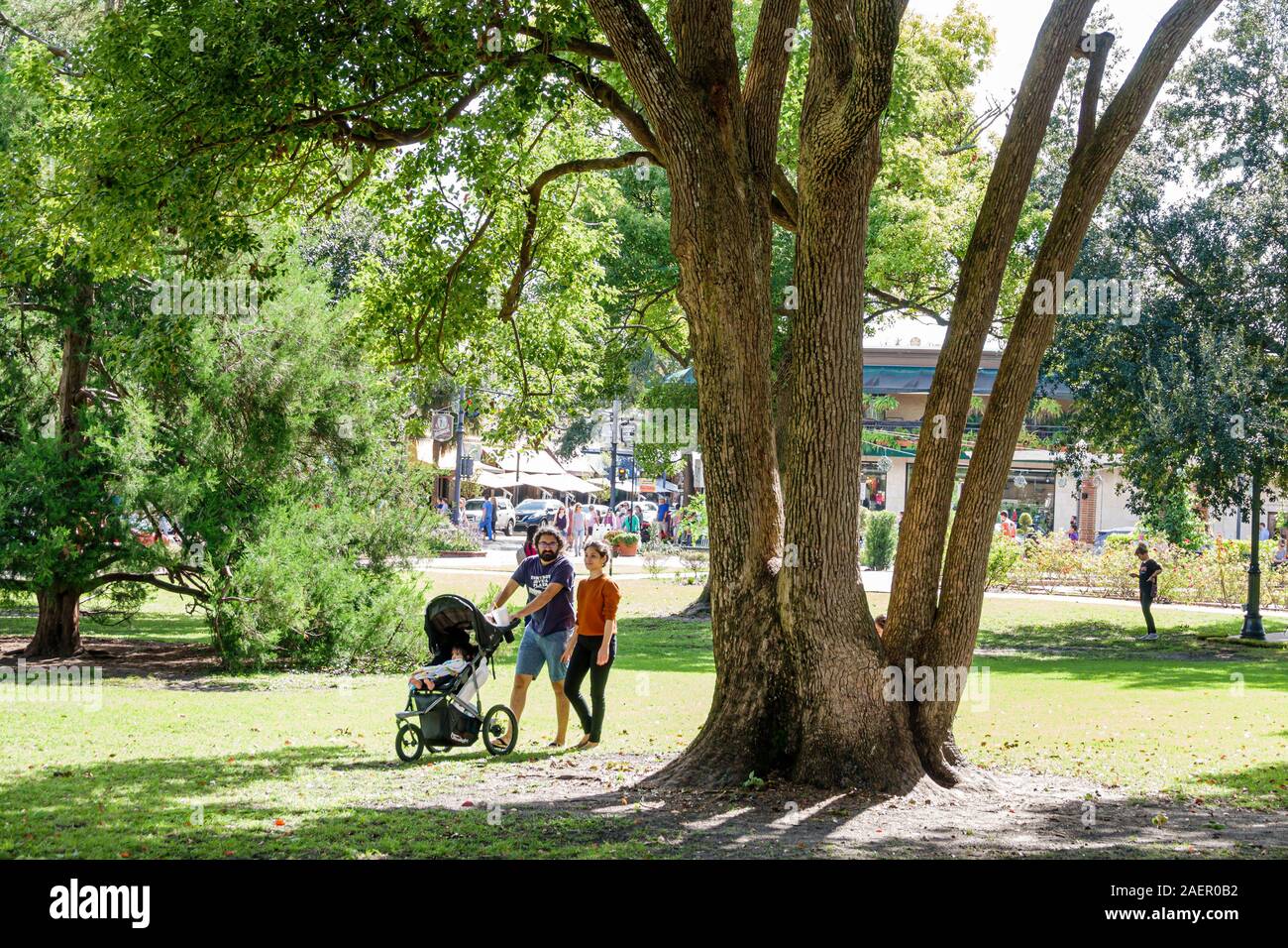 Orlando Winter Park Florida,Downtown,quartiere storico,Central Park,spazio verde urbano pubblico,prato,alberi,ombra,uomo uomini maschio adulti,donna donne fe Foto Stock