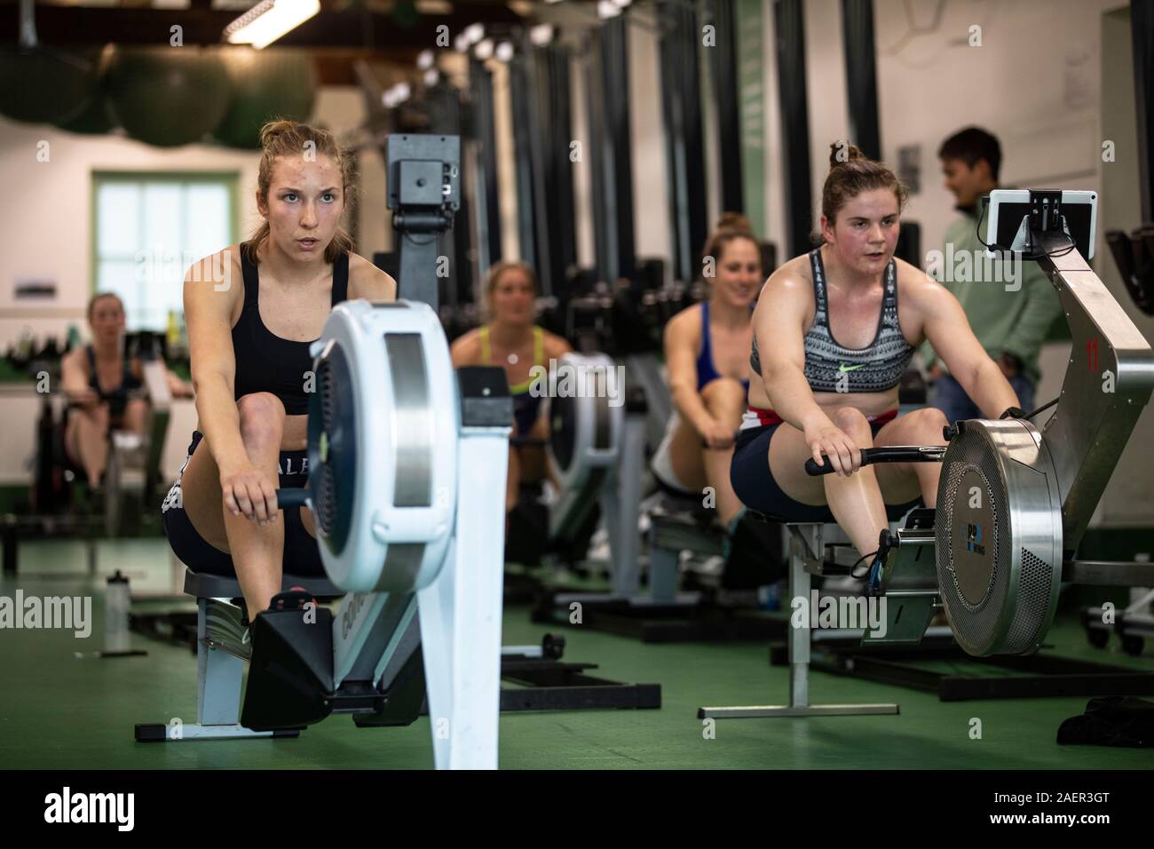 Donna barca blu Cambridge boat race team treno all'interno della palestra a Cambridge University Boat Club, Goldie Boathouse, Cambridge, Inghilterra Foto Stock