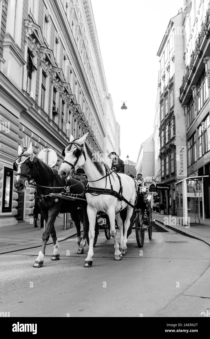 Carro trainato da cavalli tour su strada di città vecchia Vienna in Austria. Meta turistica. Foto Stock
