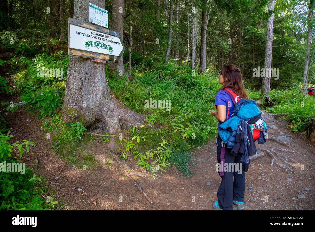 Ragazza a guardare il cartello che indica la direzione per il ghiacciaio Bessons a Chamonix Foto Stock