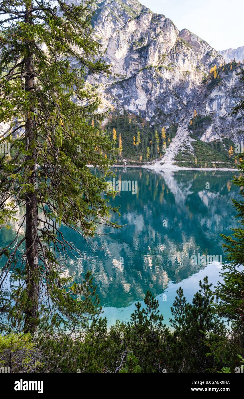 Autunno alpino tranquillo lago di Braies o Lago di Braies. Fanes-senes-Braies parco nazionale, Alto Adige, Dolomiti Alpi, l'Italia, l'Europa. Il pittoresco trave Foto Stock