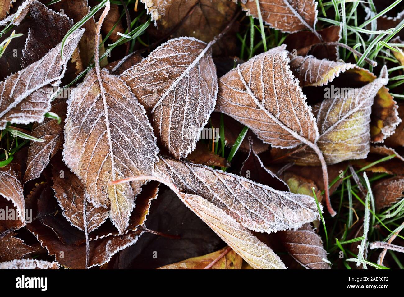 Primo giorno di inverno Foto Stock