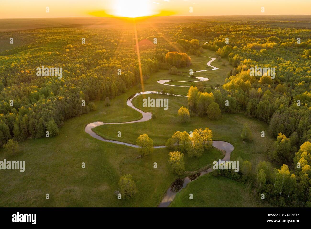 Forest nei colori dell'estate. Il verde di alberi decidui e avvolgimento di fiume azzurro in sunset. Prato Mulgi, Estonia, Europa Foto Stock