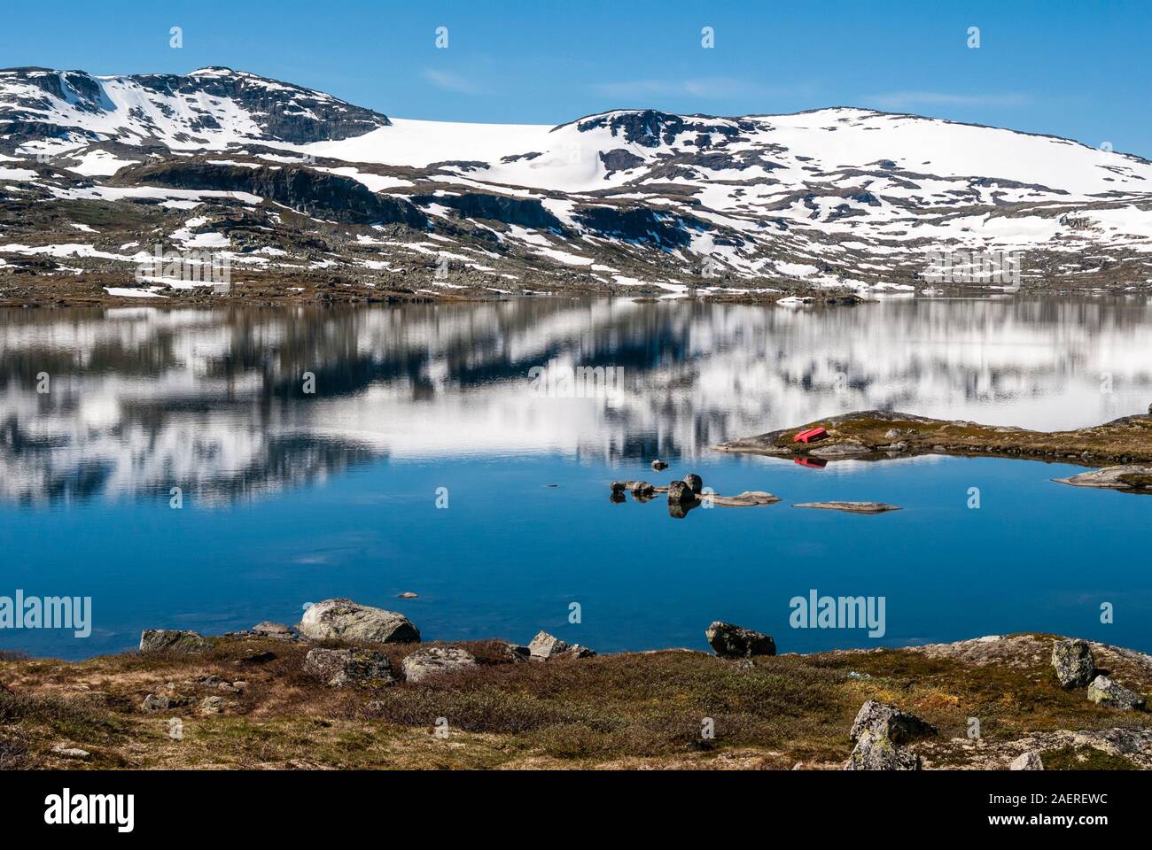 Lago Finsevatnet vicino a Finse, la più alta stazione ferroviaria sul Bergen linea ferroviaria, Oslo, vista verso il ghiacciaio Hardangerjoekulen, Hordaland, Norw Foto Stock