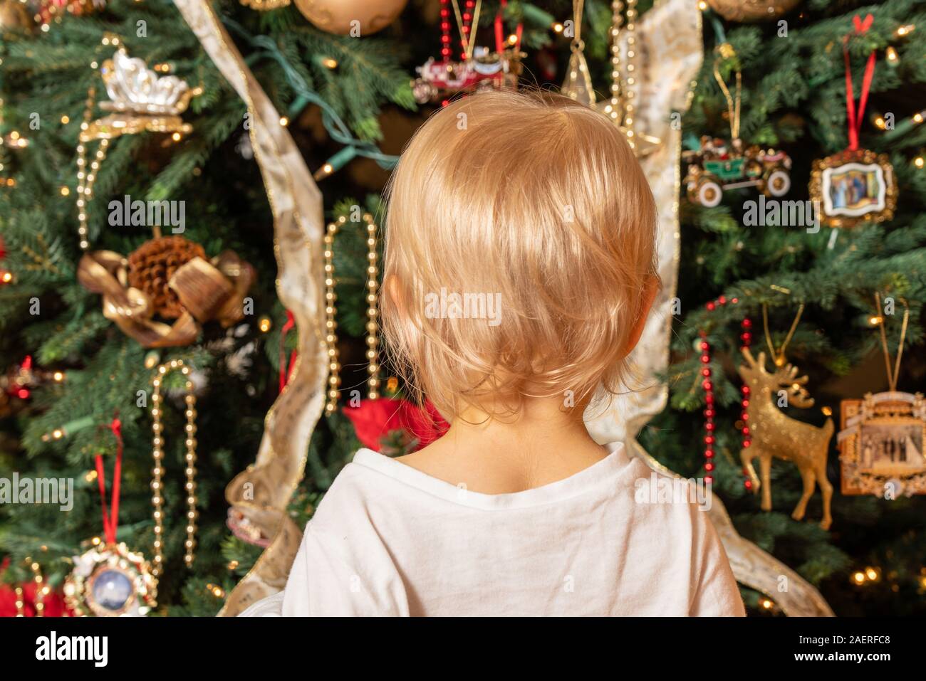 Vista posteriore di una giovane caucasian baby boy fissando la magia di un albero di Natale per la prima volta nella meraviglia Foto Stock