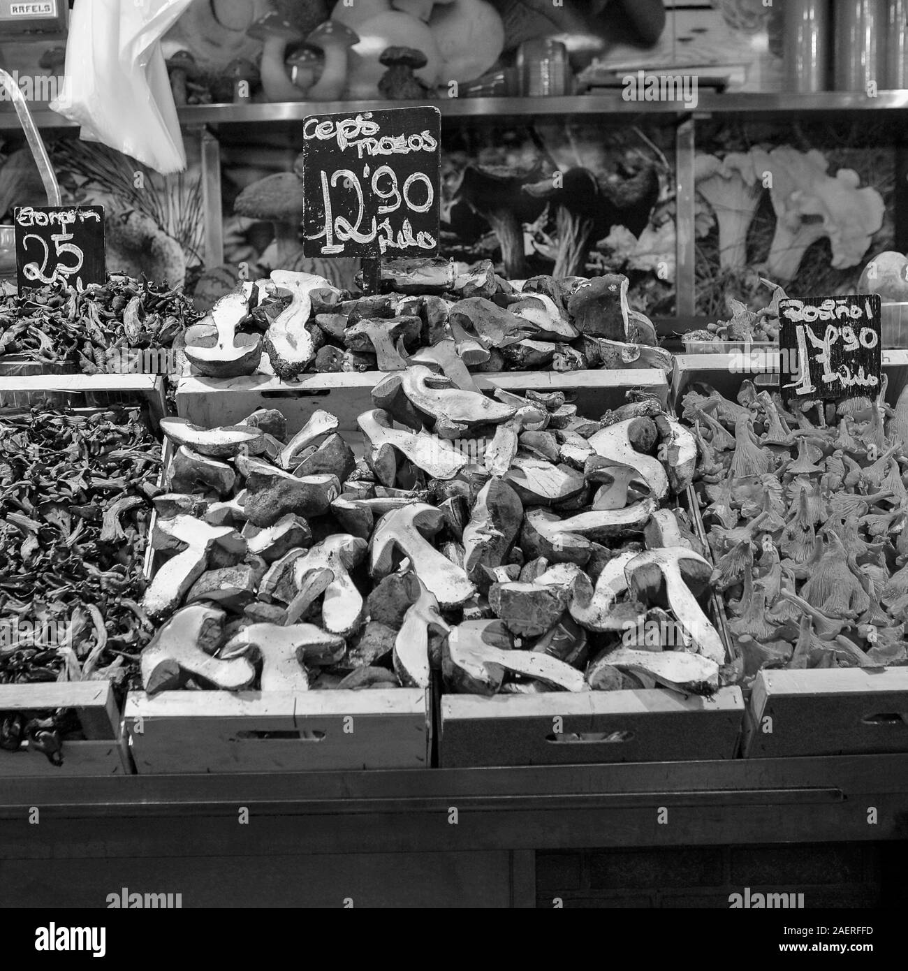 All'interno del famoso al Mercado de La Boqueria a Barcellona, varietà disponibili per tutti gli ospiti che vogliono godere di funghi freschi e cibi sani. Foto Stock