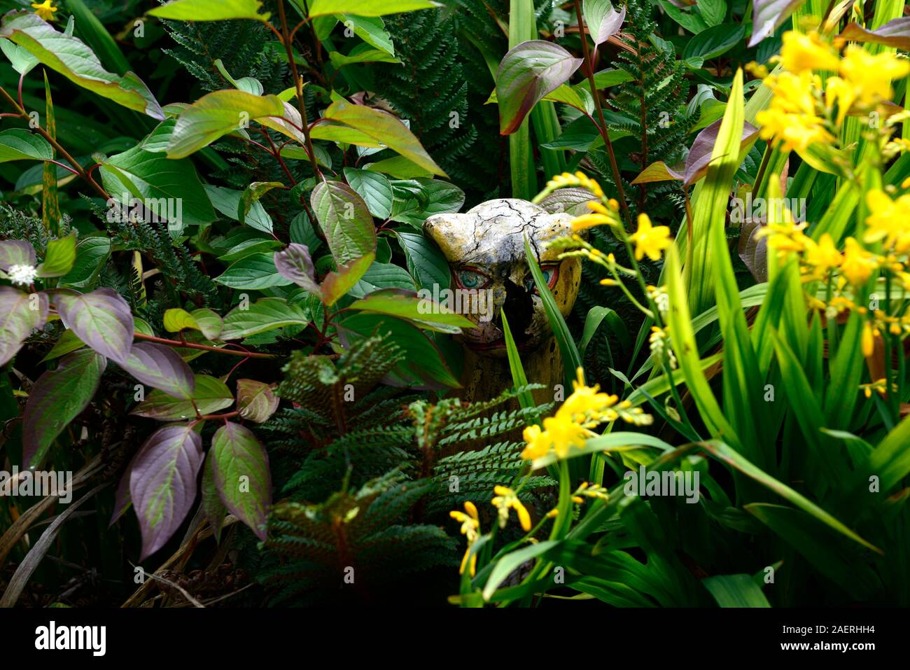 Jaguar statua,ornamento,Garden includono,tropical,jungle,jungle come,giardino,giardino,RM Floral Foto Stock