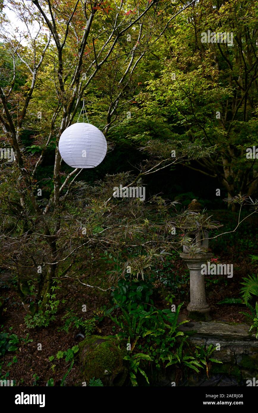Contemplare,silenzioso,tranquillo,asian woodland garden,Kilravock gardens,West Cork Garden Trail,Durrus,County Cork,RM Floral Foto Stock