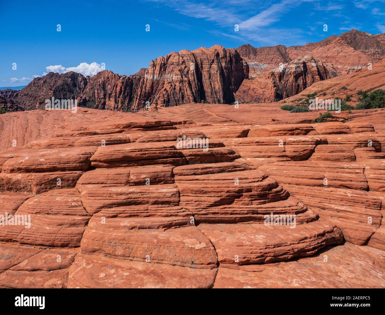 Scogliere e cross-bedded arenaria, pietrificate dune, Snow Canyon State Park, Saint George, Utah. Foto Stock