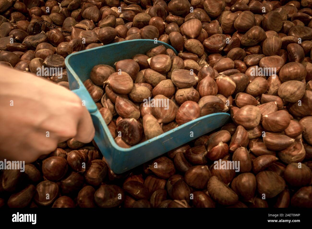 Mano maschio con pala blu il prelievo di castagne arrostite Foto Stock